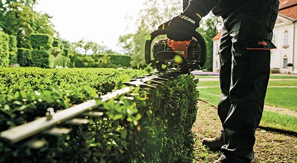 Hedge Trimming