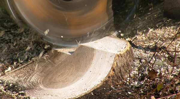 Stump Grinding